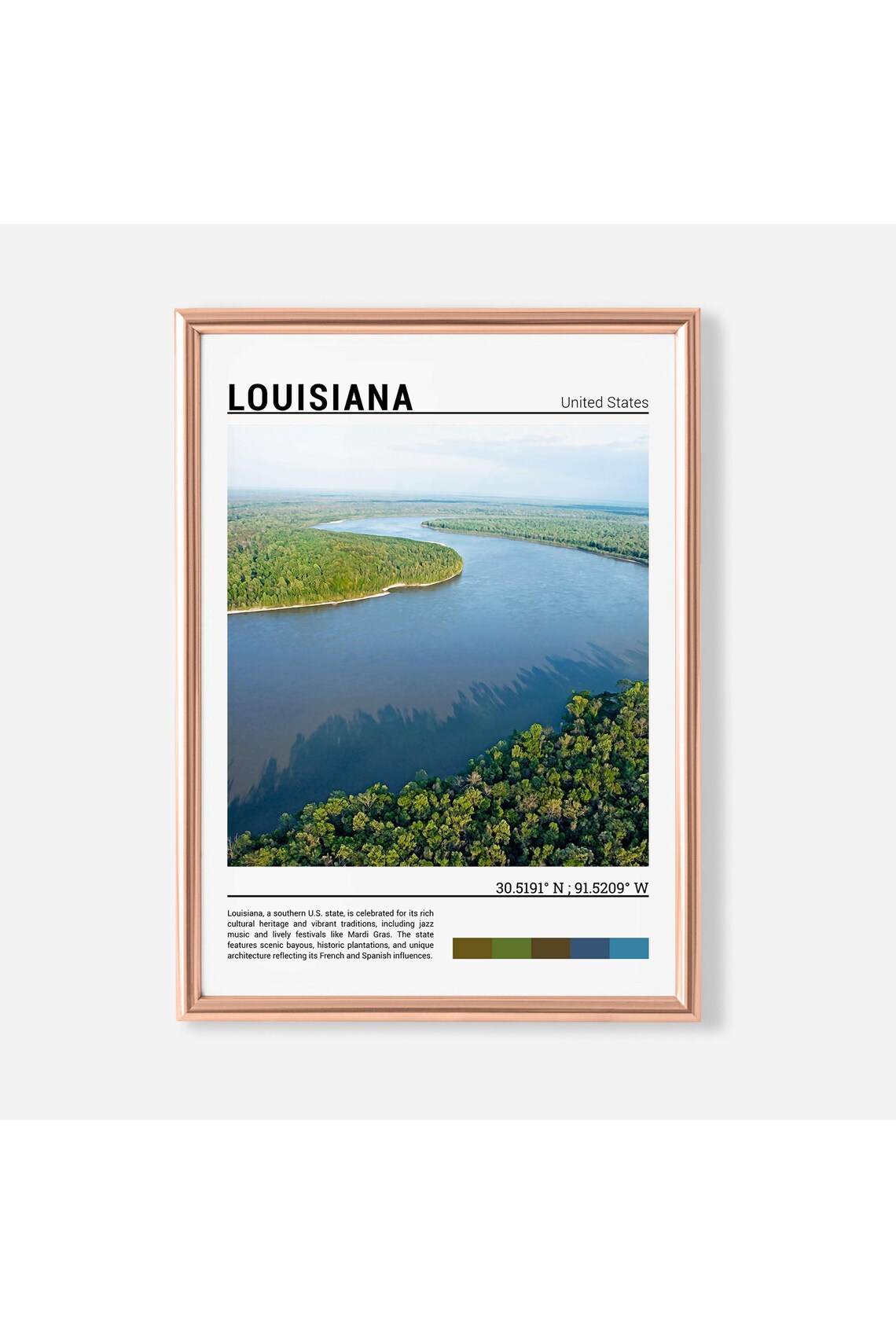 Louisiana River Aerial Green Bayou Forest Bend Landscape Poster