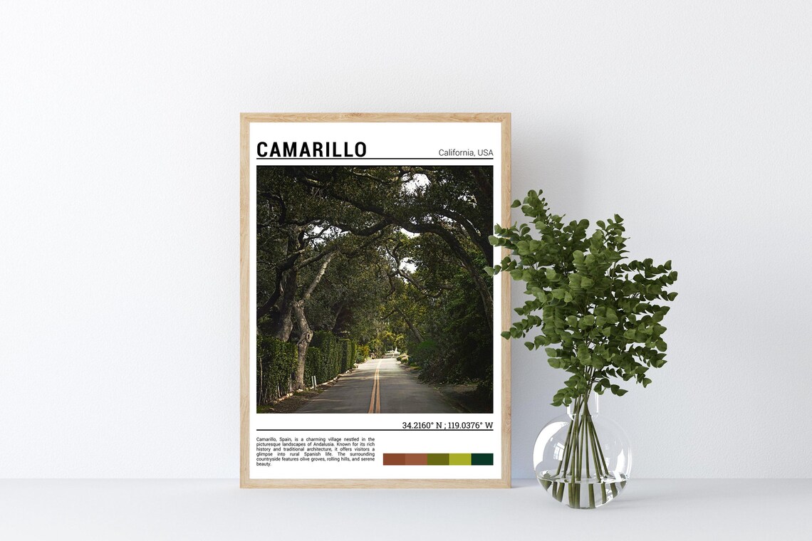 Camarillo California Tree Lined Country Road Oak Trees Travel Poster - Image 4