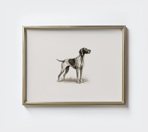 German Shorthaired Pointer Sketch Art Print, Minimalist Dog Portrait
