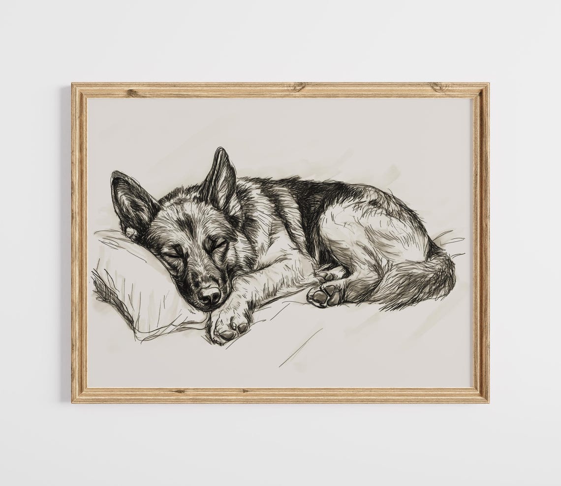 Sleeping German Shepherd Vintage Sketch Dog Portrait Pencil Art Poster