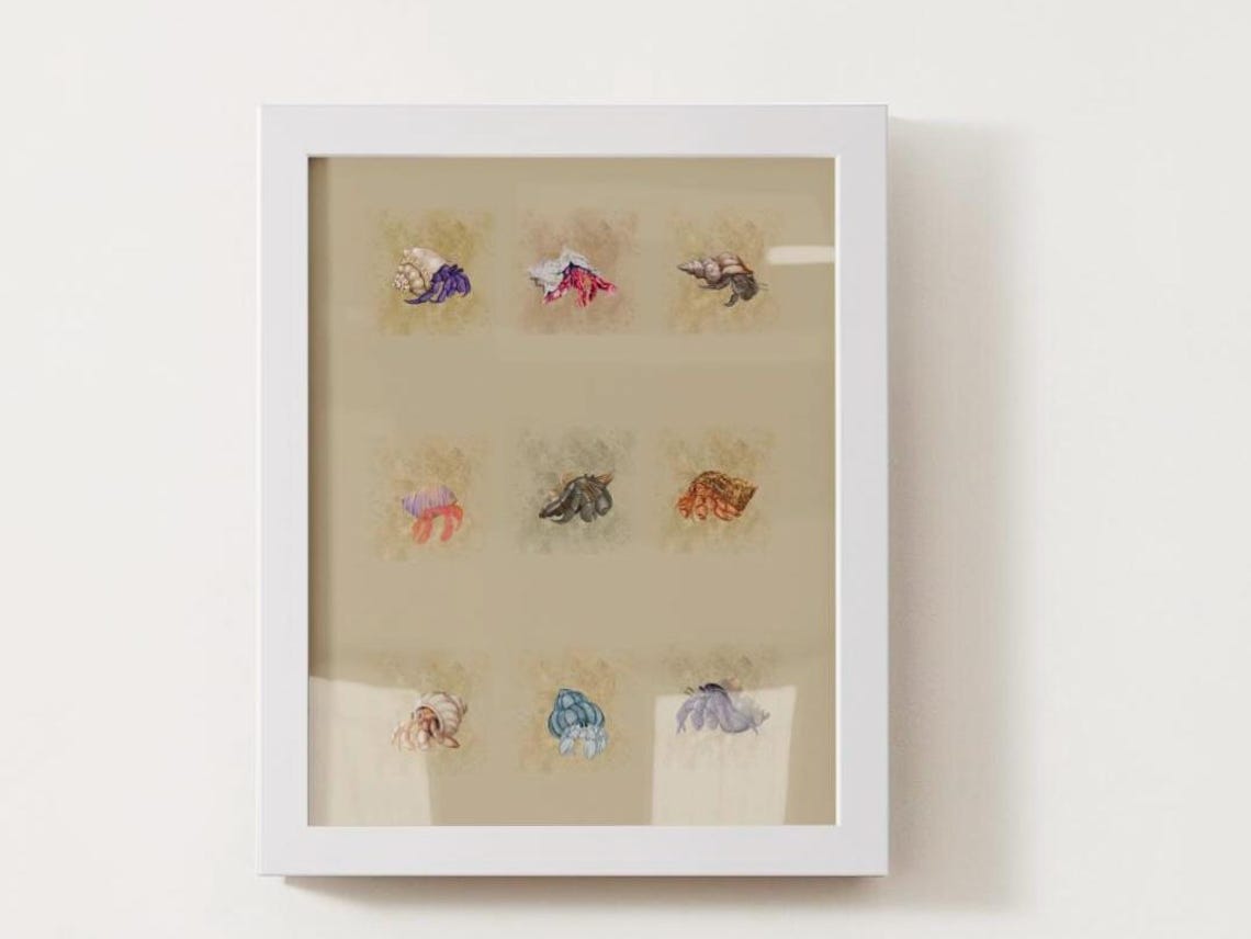 Hermit Crabs, Sea Life Art Print - Image 4