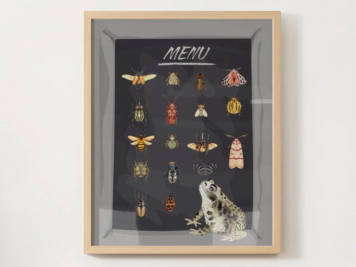 Frog Watching Insects Menu Chart Vintage Naturalist Bugs Poster - Image 4