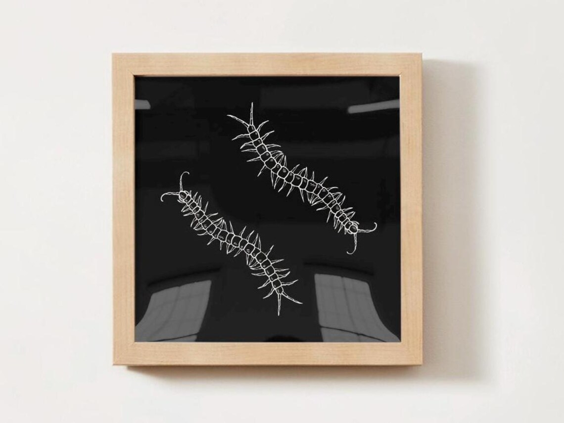 Monochrome Centipede Poster Print, Bugs For Kids - Image 2
