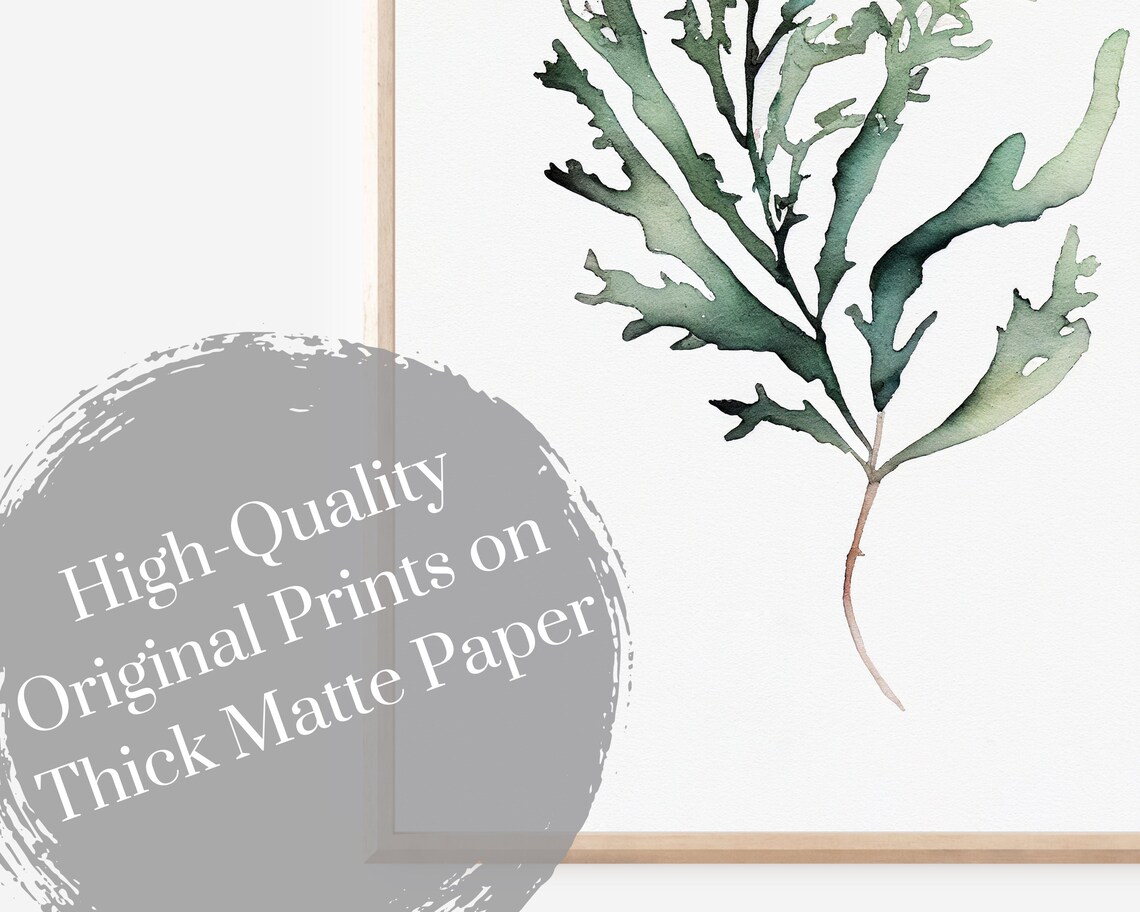 Seaweed Watercolor Art Print, Minimalist Boho Decor - Image 3