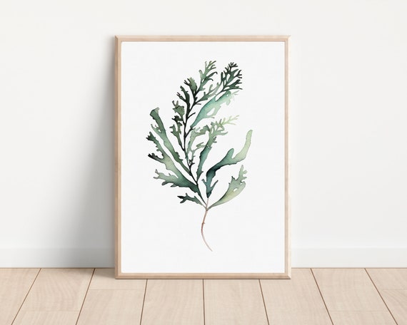 Seaweed Watercolor Art Print, Minimalist Boho Decor