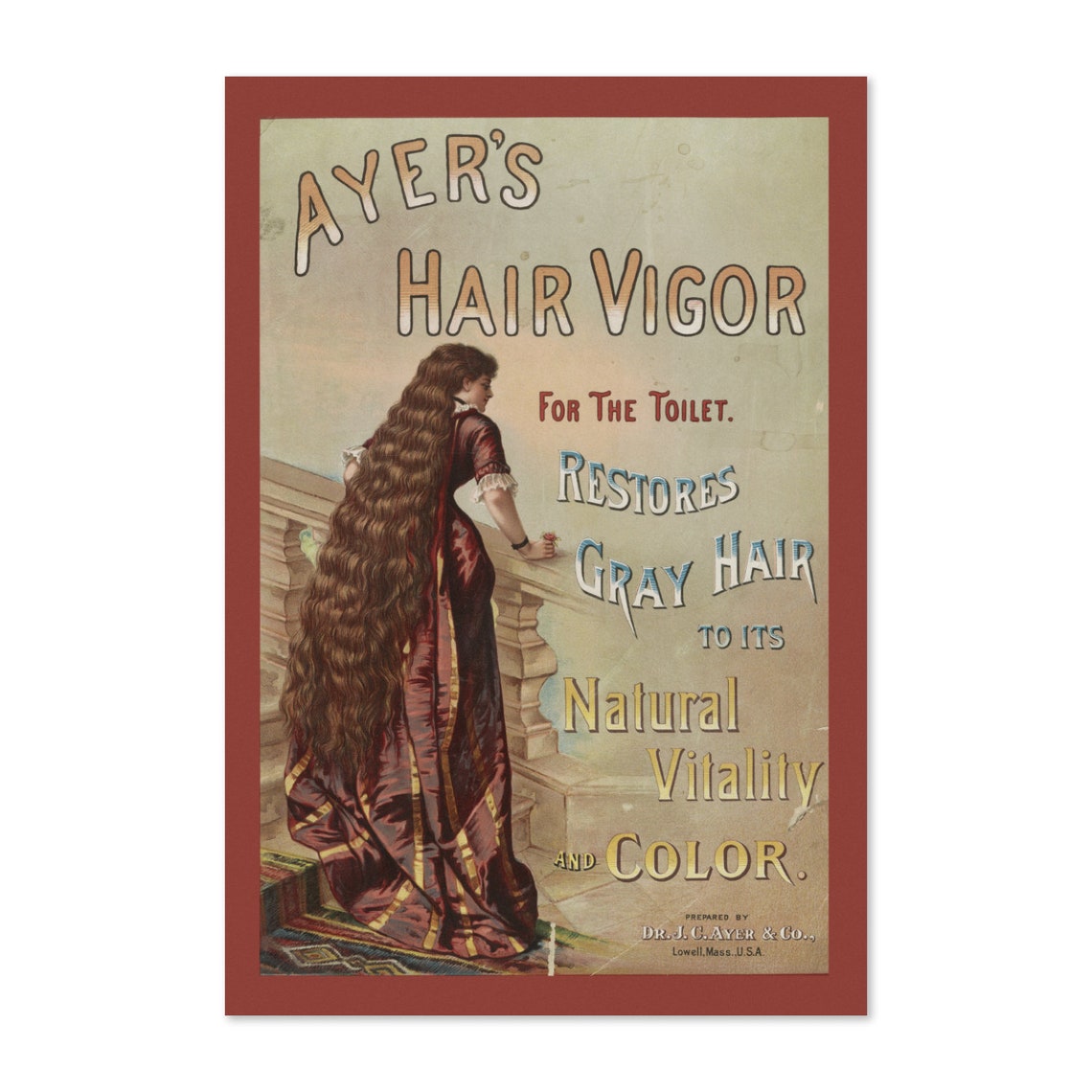 Ayers Hair Vigor Victorian Patent Medicine Vintage Ad Poster
