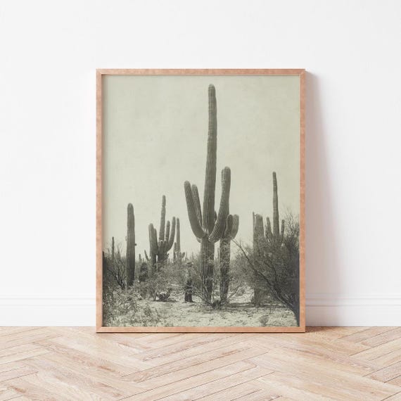 Monochromatic Vintage Cactus Photograph Botanical Wall Art Neutral Decor Farmhouse Desert Wild Violets Bo0008