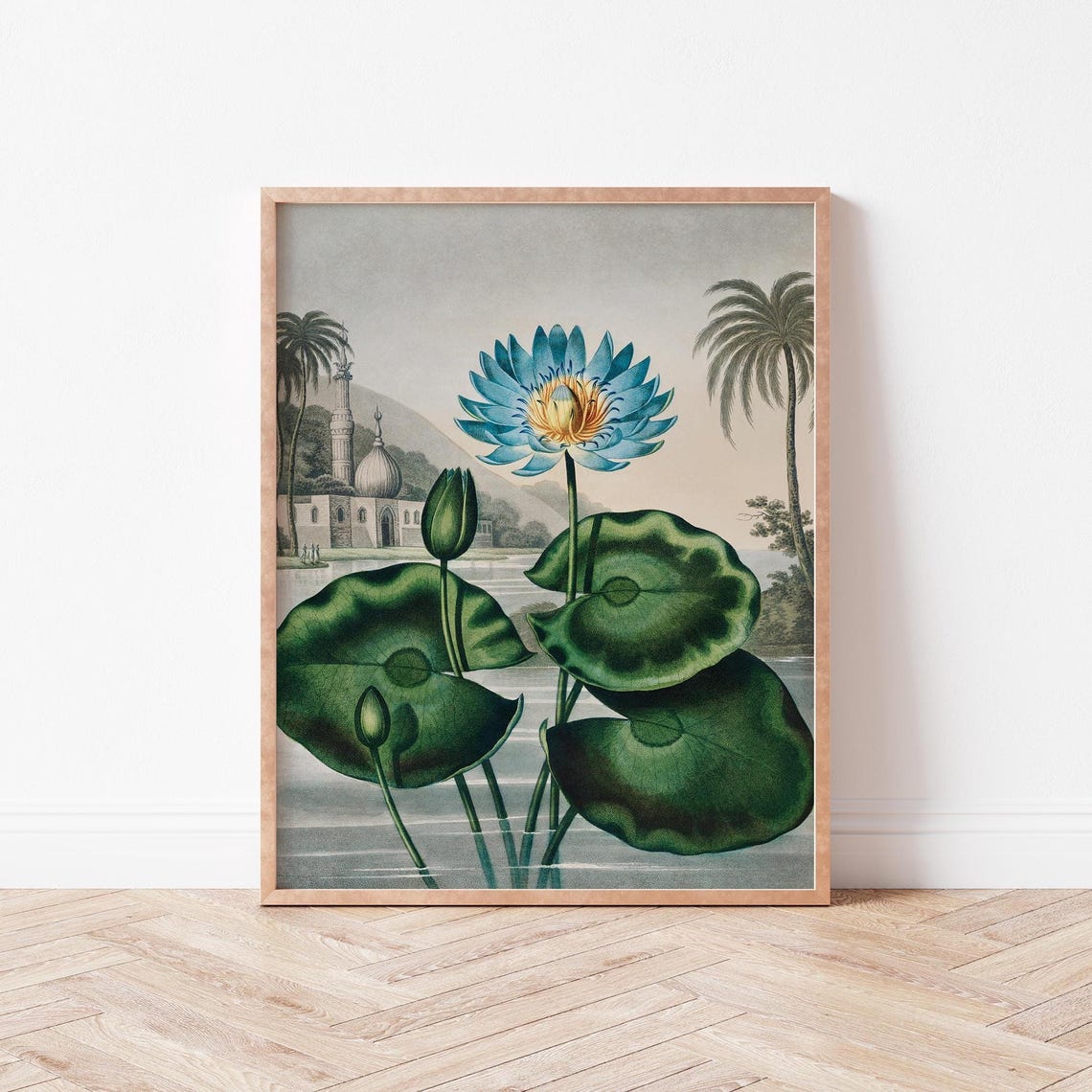 Blue Water Lily Vintage Botanical Illustration Tropical Wall Art