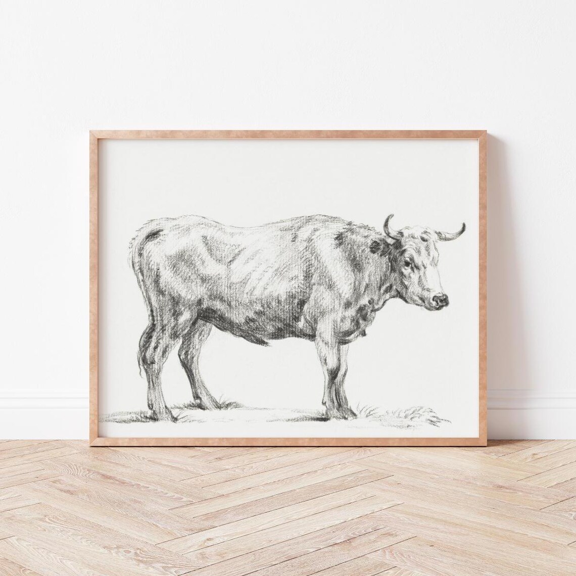 Longhorn Bull Pencil Sketch Vintage Farmhouse Animal Art Print