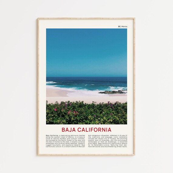 Baja California Mexico Sandy Beach Waves Flowers Photo Poster