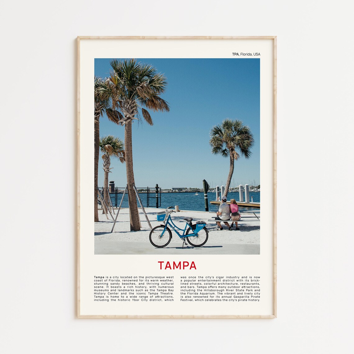 Tampa Bay Beach Palm Trees Blue Bicycle Florida Sunshine Photo Poster