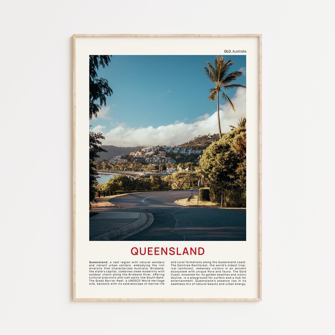 Queensland Coastal Road with Palm Trees Film Photo Travel Poster
