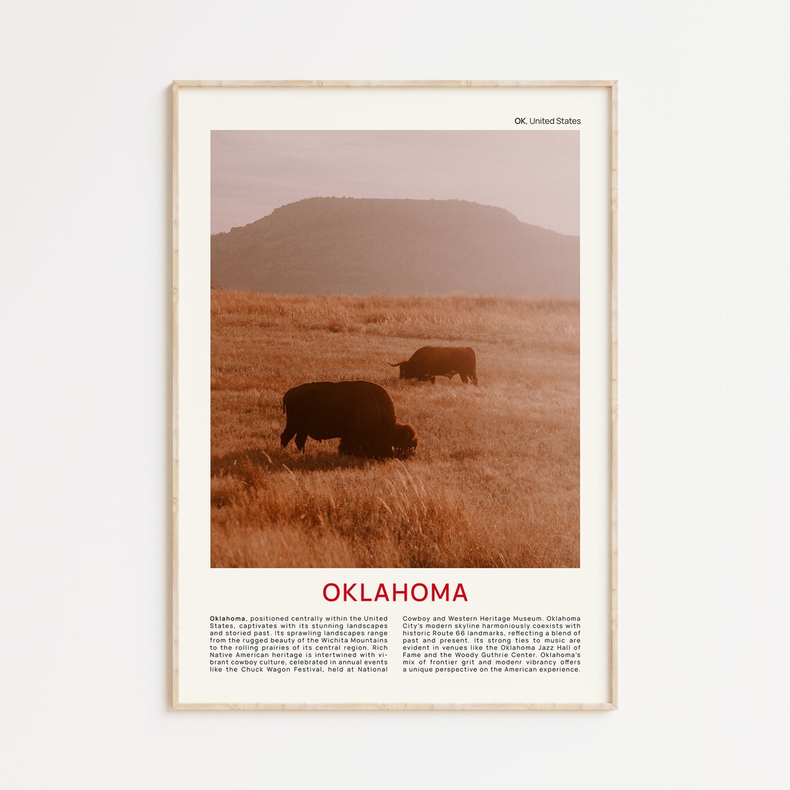 Oklahoma Prairie Buffalo Grazing at Sunset Film Photo Wall Poster