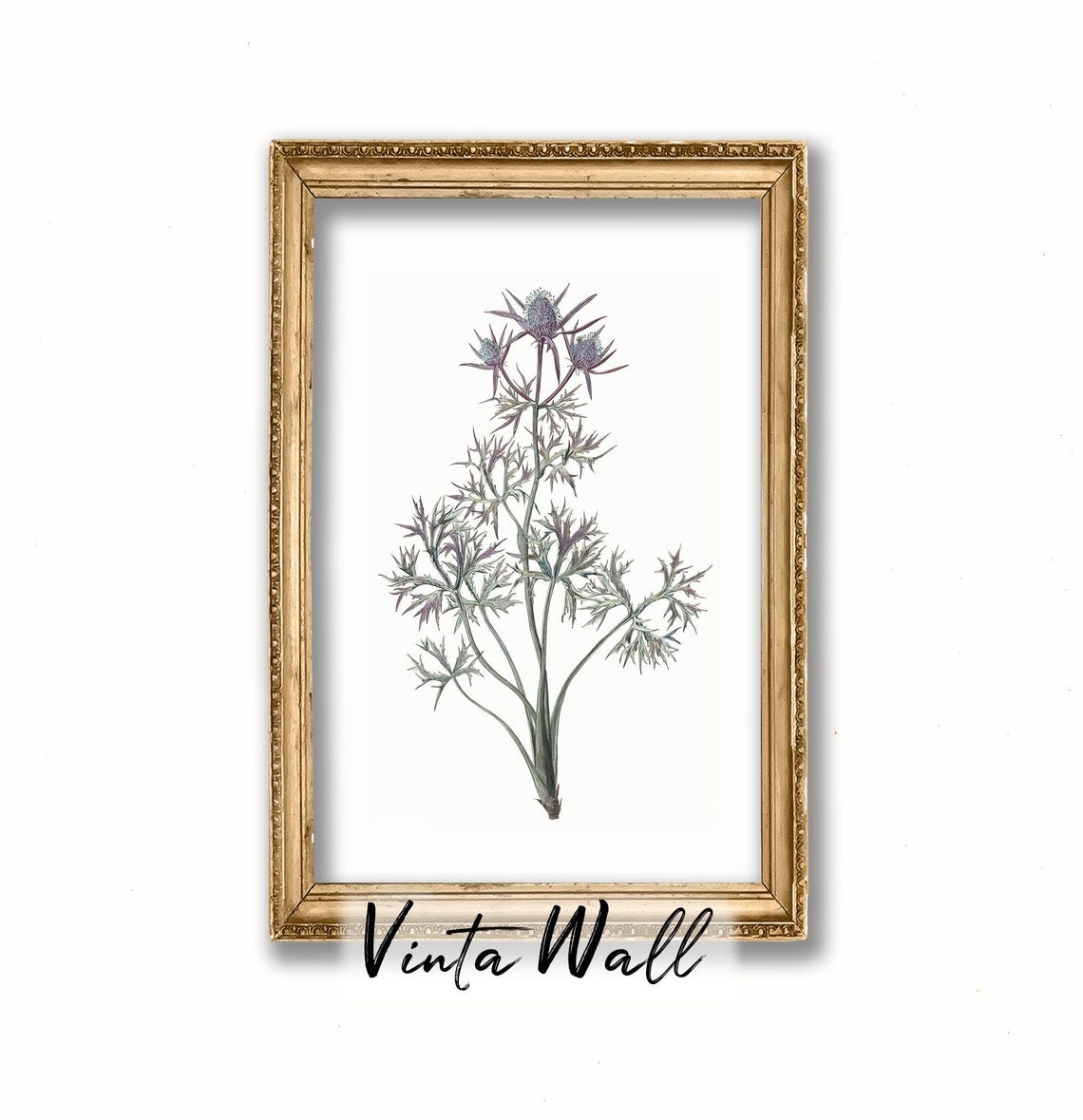 Blue Sea Holly Thistle Vintage Botanical Illustration Art Print - Image 4