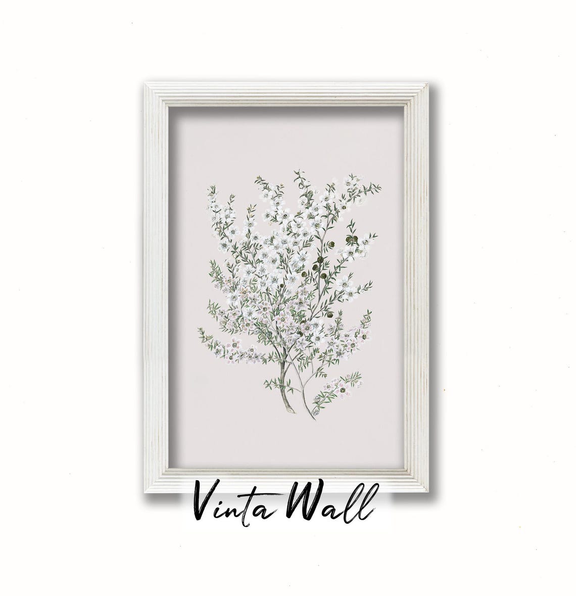 White Blossom Botanical Branch Minimal Vintage Flower Study Poster - Image 3