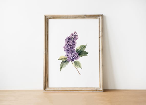Purple Lilac Flower Botanical Print Floral Wall Art Watercolor Nature Illustration