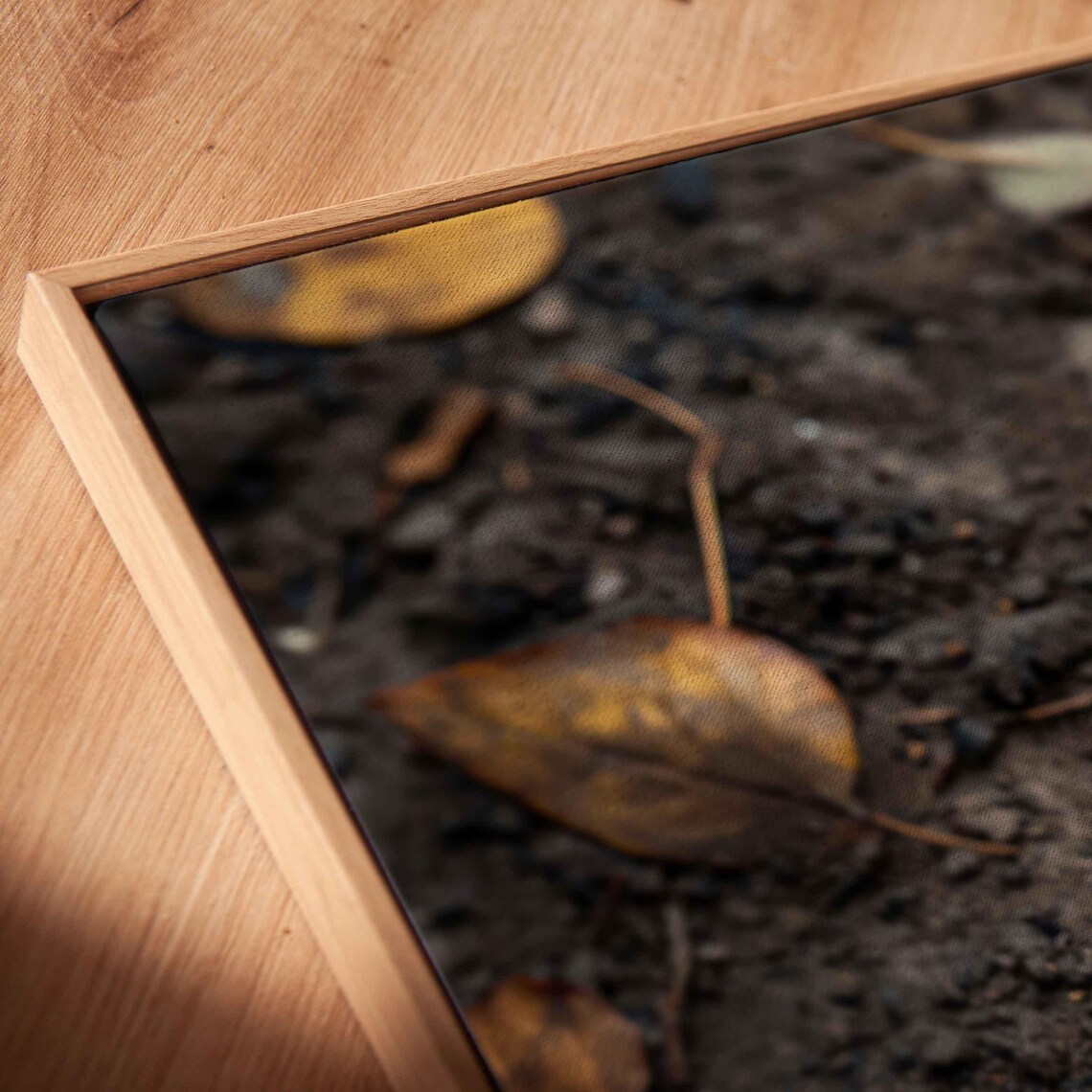 Single Orange Autumn Leaf On Dark Soil Macro Nature Photography Poster - Image 2