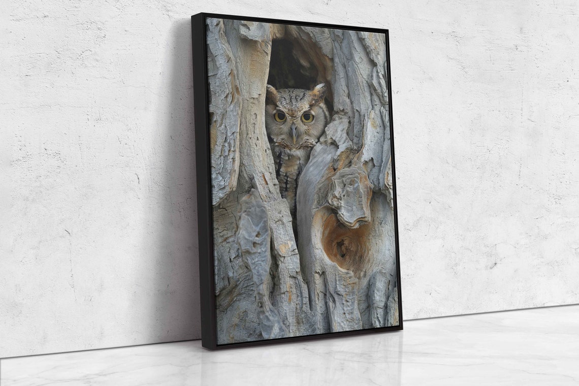 Great Horned Owl Peeking From Tree Hollow Wildlife Art Print - Image 4