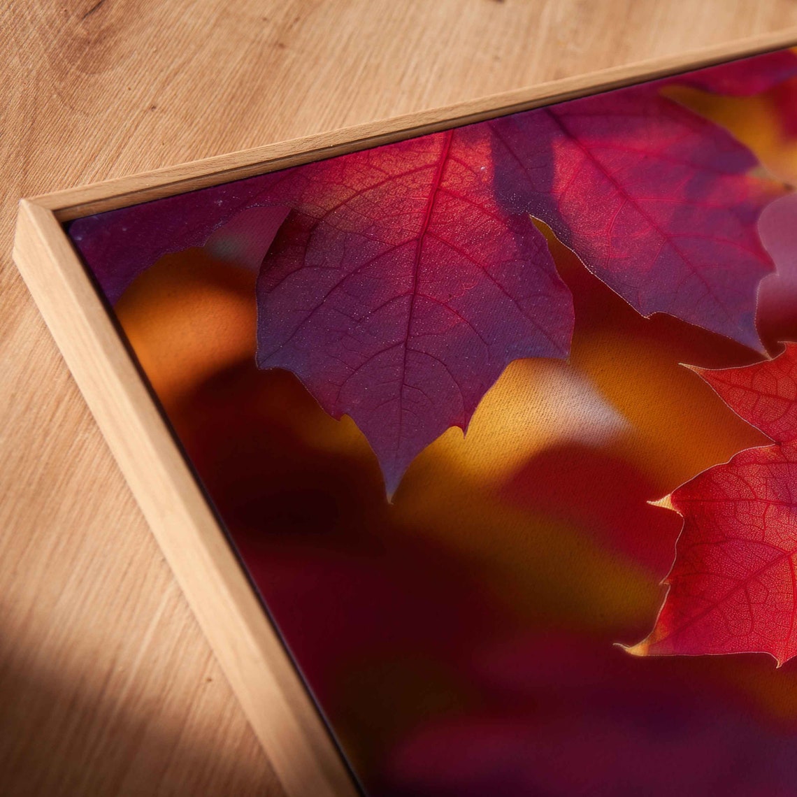 Sunlit Red Maple Leaves Close Up Backlit Fall Nature Photo Poster - Image 2