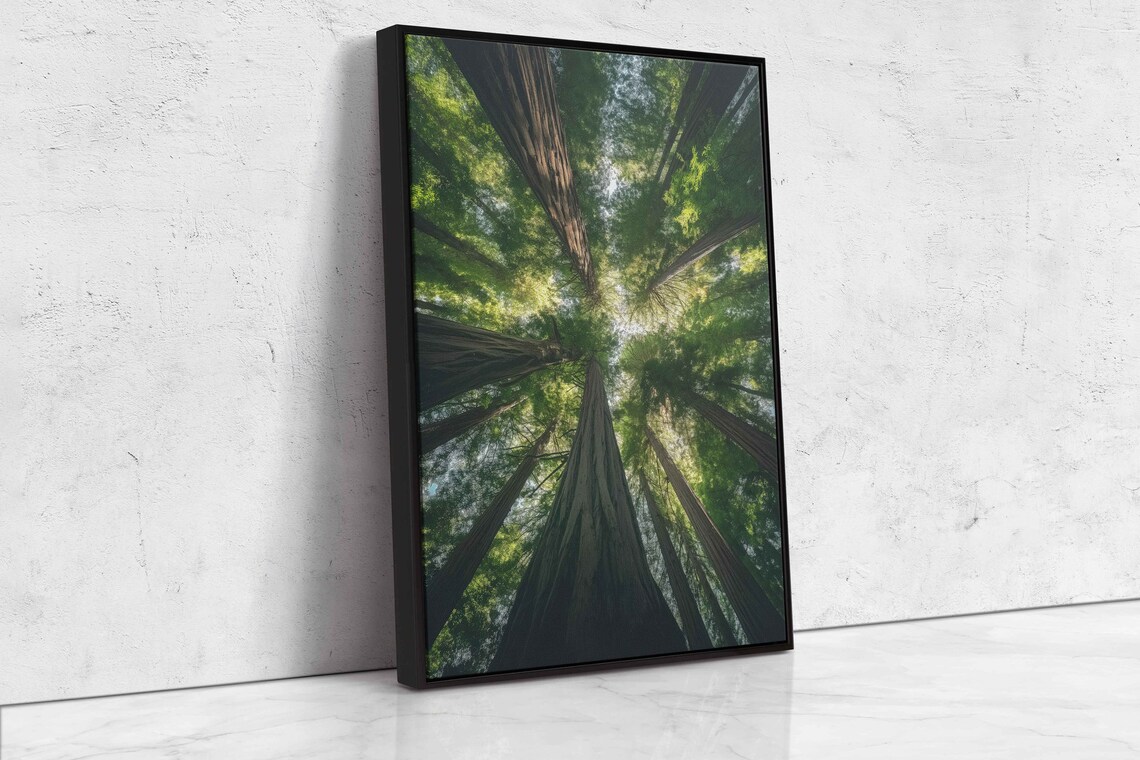 Acrylic Redwood Forest Wall Art Print Gift For Nature Lover Towering Trees Serene Outdoors Ready To Hang - Image 4