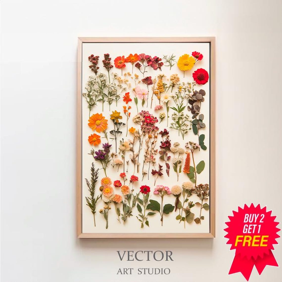 Colorful Pressed Flower Collection Summer Botanical Wall Art