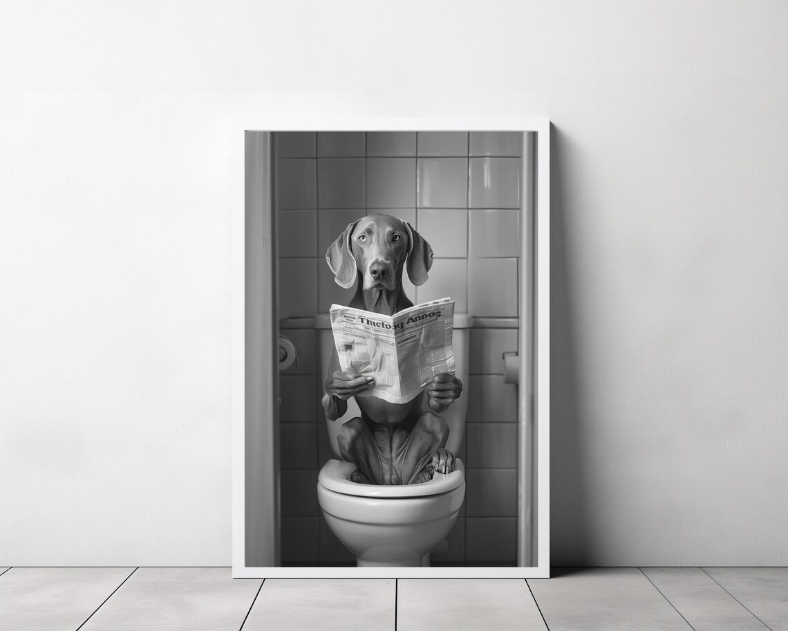 Grey Weimaraner on Toilet Wide Shot Reading Paper Funny Poster - Image 3
