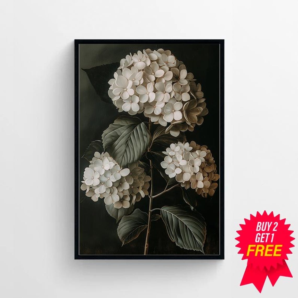 Classic White Hydrangea Trio in Bloom on Dramatic Black Poster - Image 4