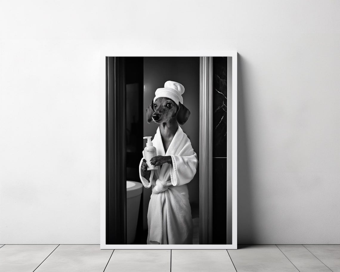 Dachshund In Bathrobe Standing In Shower Holding Soap Poster - Image 3
