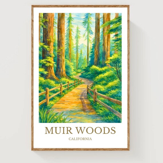 Muir Woods California Redwood Forest Watercolor Travel Poster