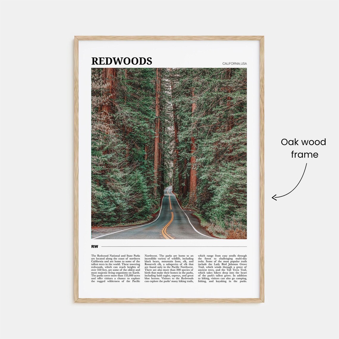 Redwoods Travel Poster, California USA Landscape - Image 3