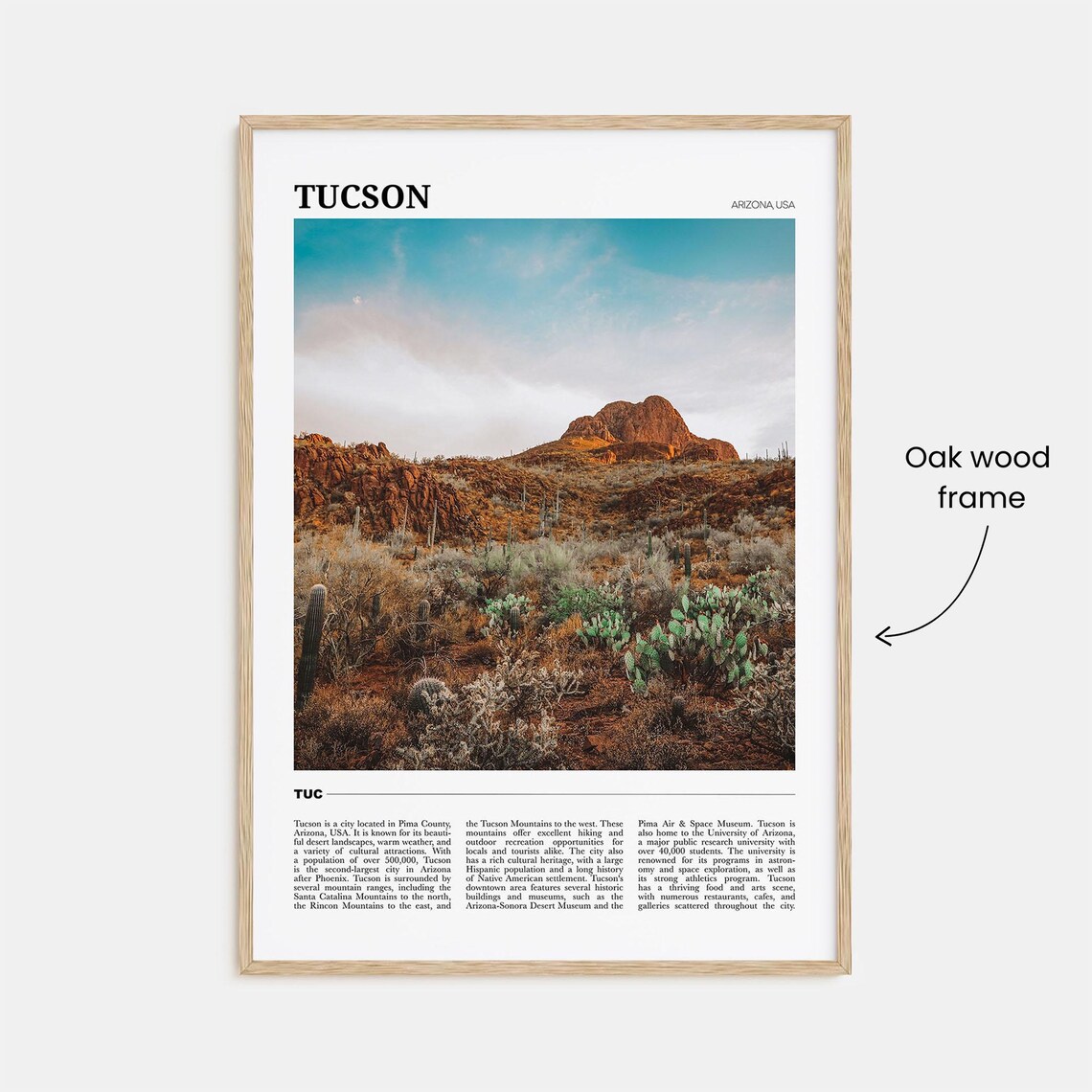 Tucson Arizona Desert Cactus Mountain Scenic No 3 Travel Poster - Image 3