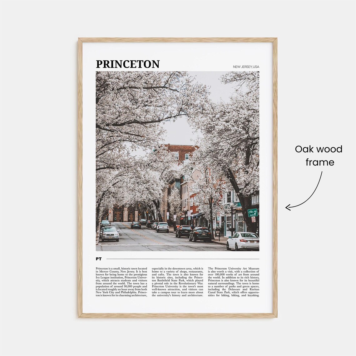 Princeton Travel Poster, New Jersey Wall Art - Image 3