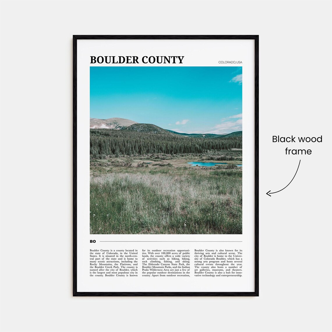 Boulder County Colorado Mountain Meadow Wildflower View Poster - Image 2