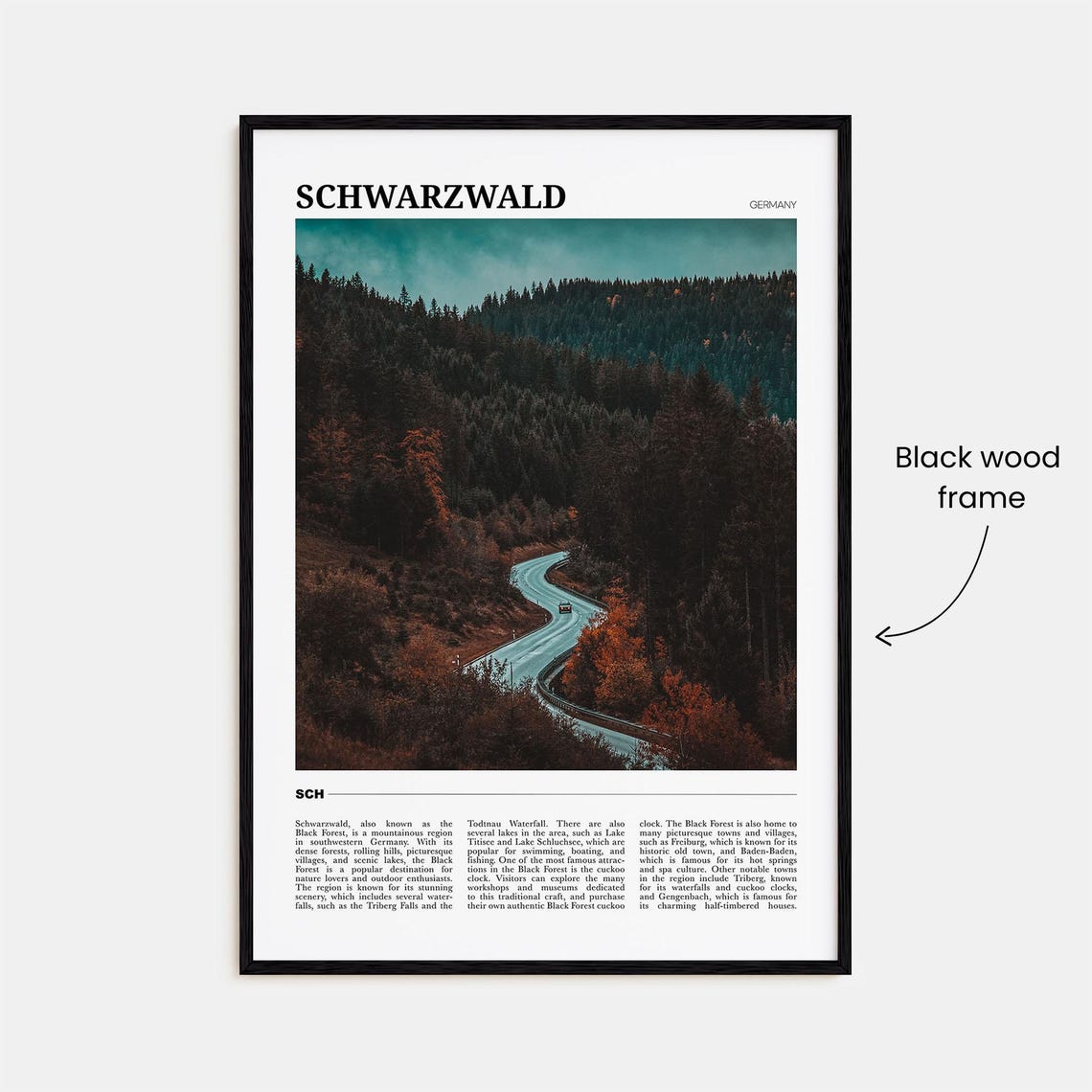 Schwarzwald Germany Black Forest Winding Road Pine Trees Poster - Image 2