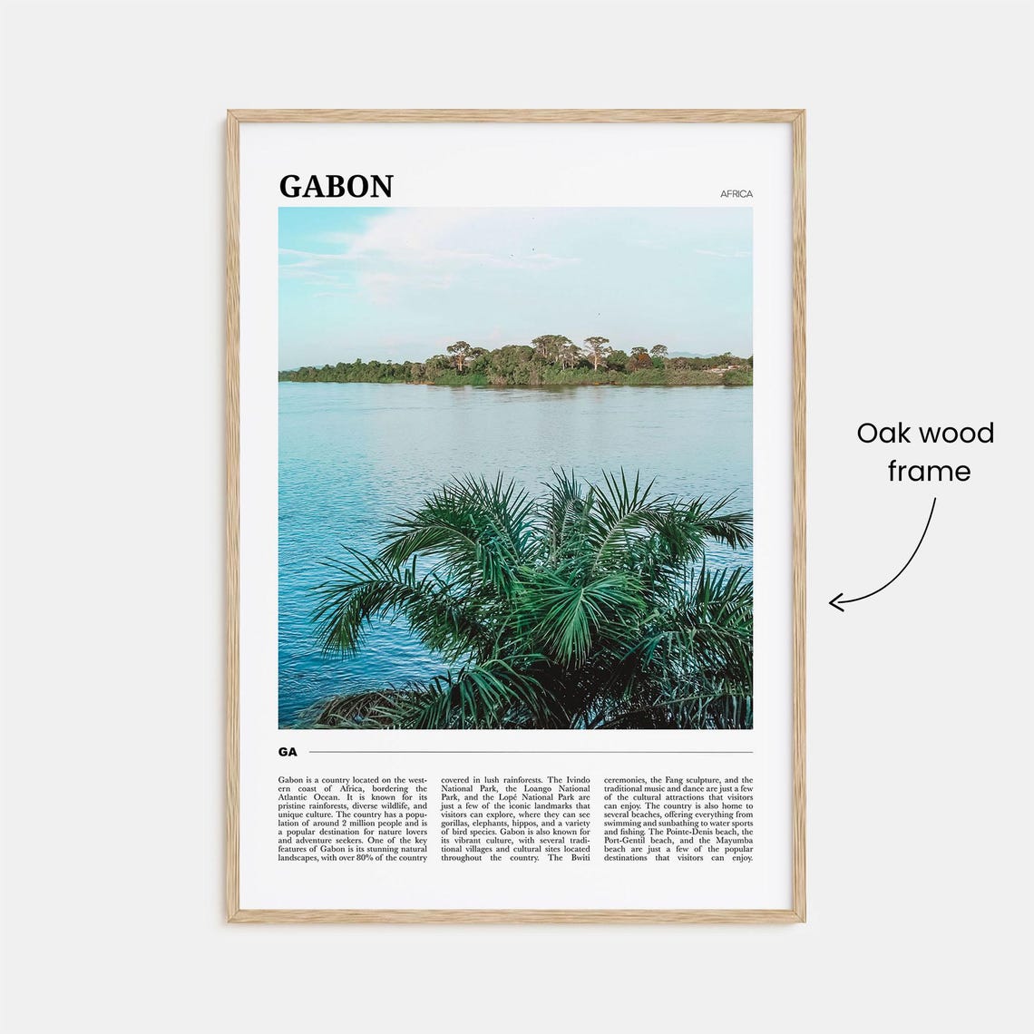 Gabon Africa Tropical Lush River and Palm Trees Nature Poster - Image 3
