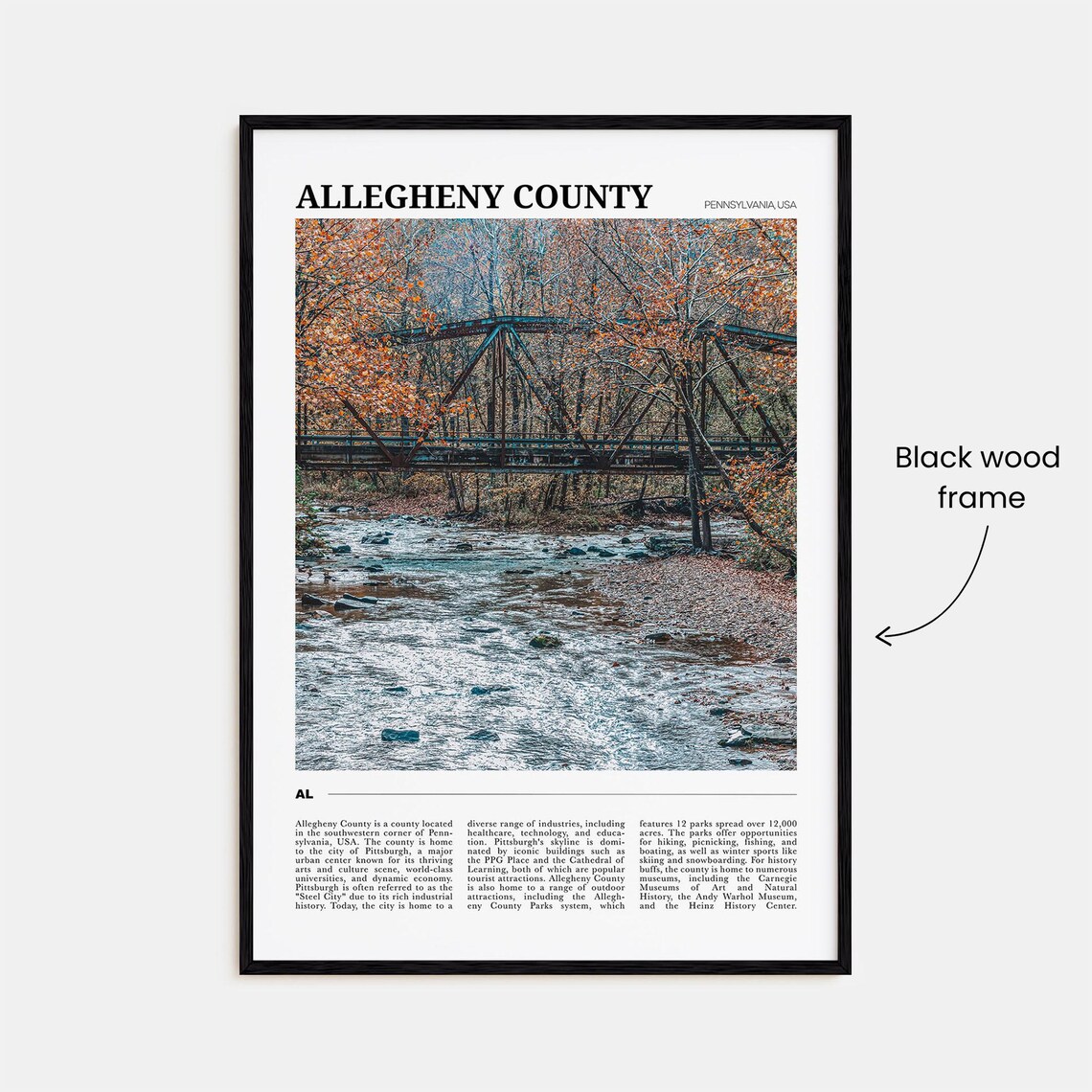 Allegheny County Travel Poster, Place-Based Wall Art - Image 2