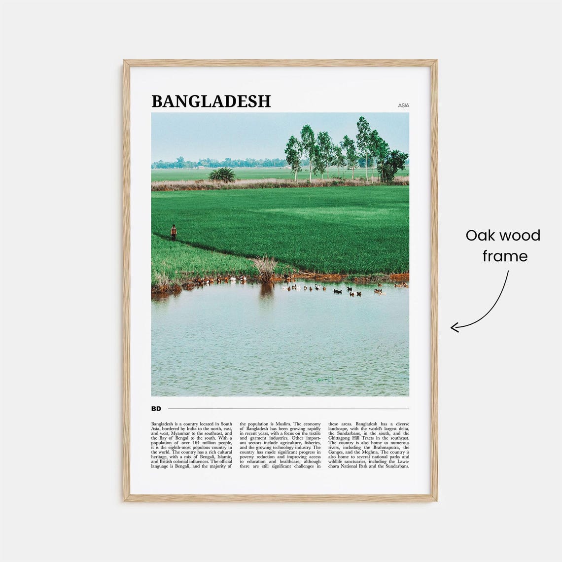 Bangladesh Travel Poster Bangladesh Wall Art Bangladesh Poster Print Bangladesh Photo Bangladesh Decor Asia - Image 3