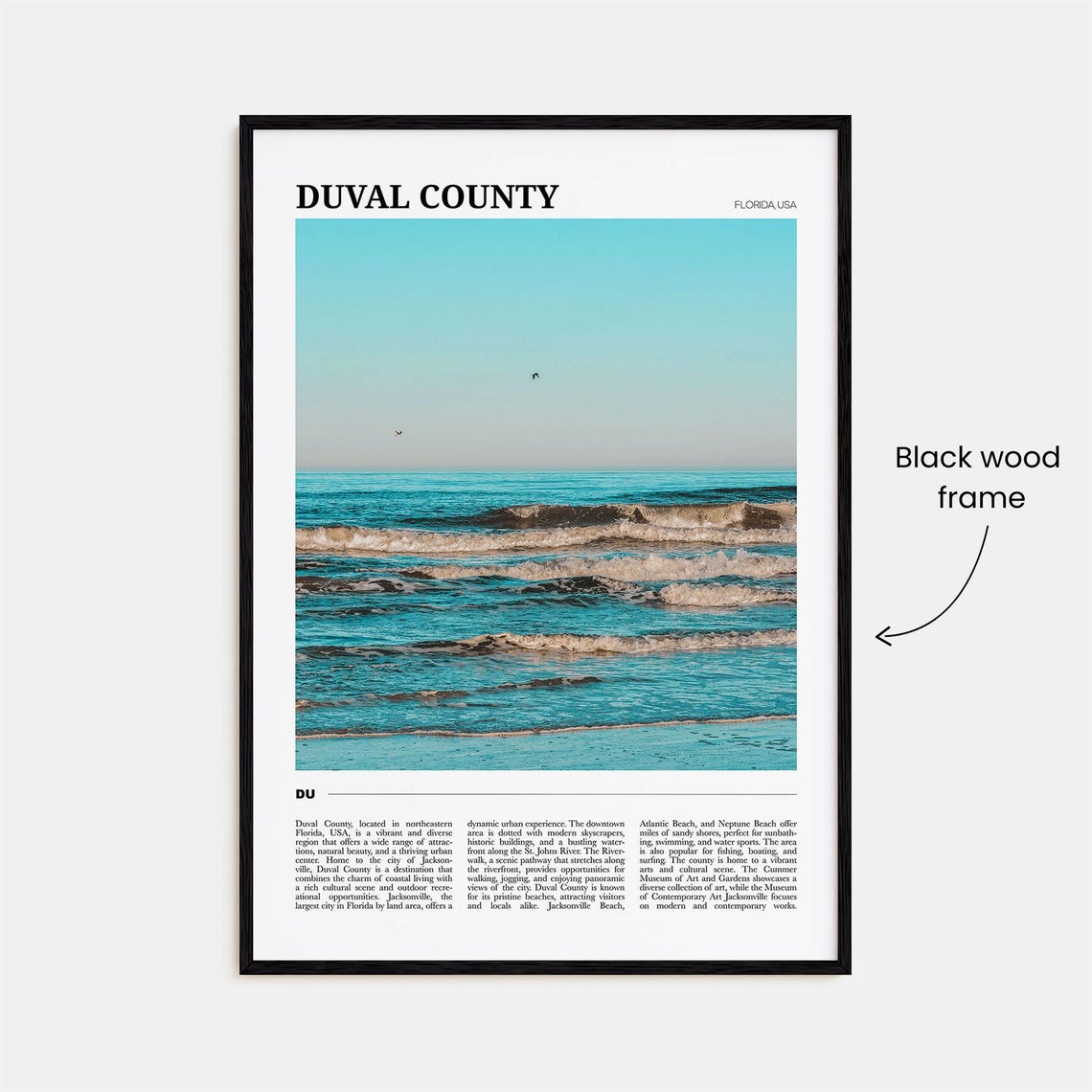 Duval County Florida Ocean Waves and Seabirds Beach Photography Poster - Image 2