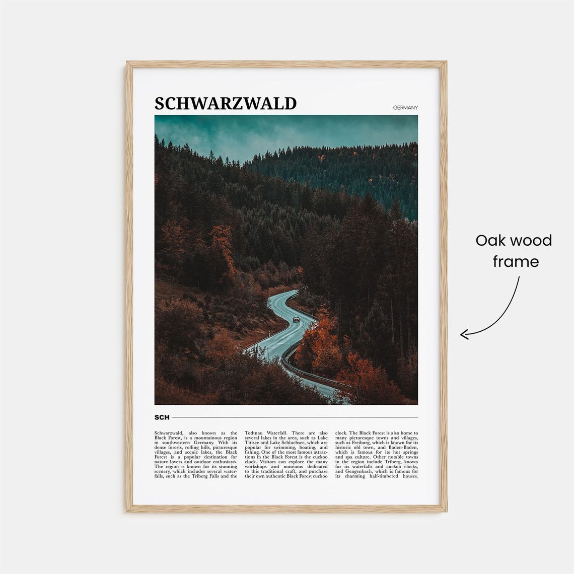 Schwarzwald Germany Black Forest Winding Road Pine Trees Poster - Image 3