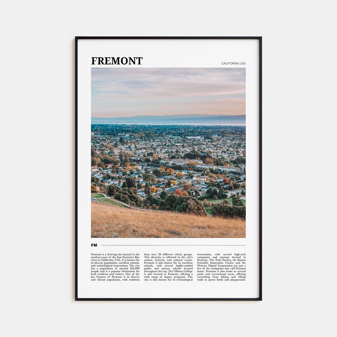 Fremont Travel Poster, California USA Travel Poster