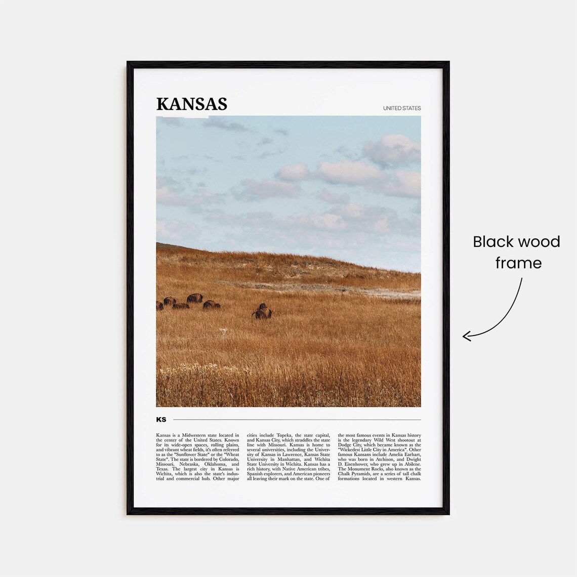 Kansas Photo Travel Poster - Image 2
