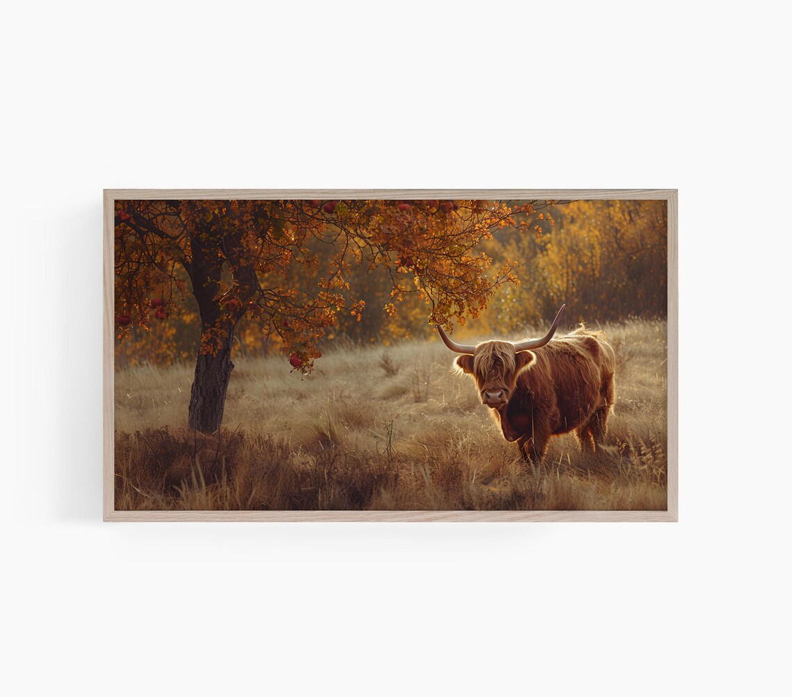 Highland Cow Art Print, Country Farmhouse Decor