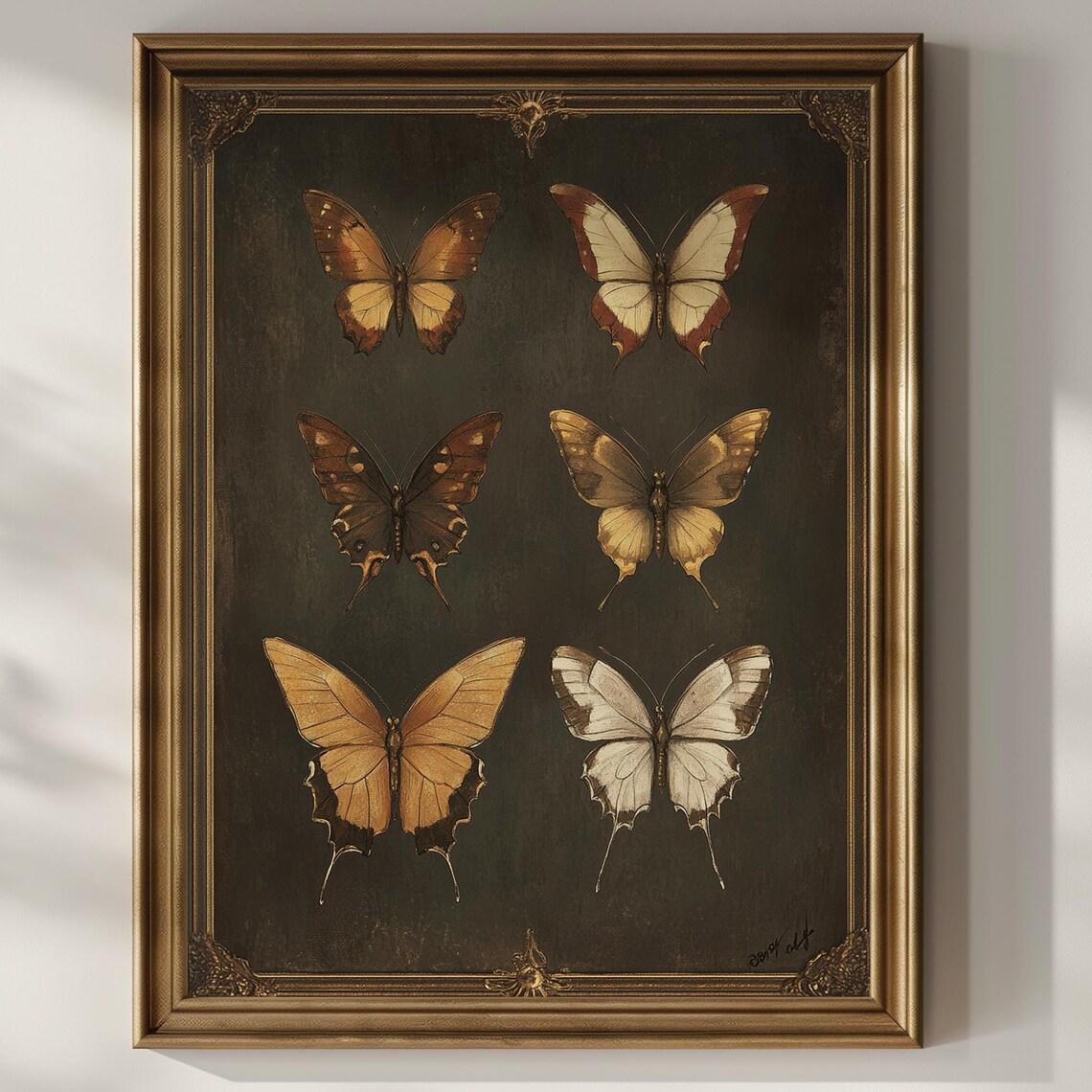 Six Neutral Butterflies on Dark Vintage Entomology Study Poster