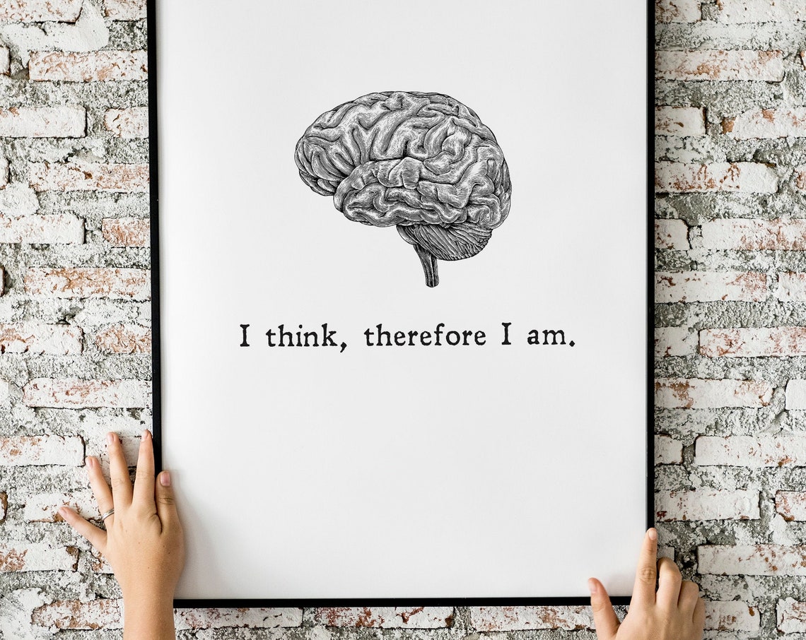I Think Therefore I Am Brain Anatomy Minimalist Philosophy Wall Art