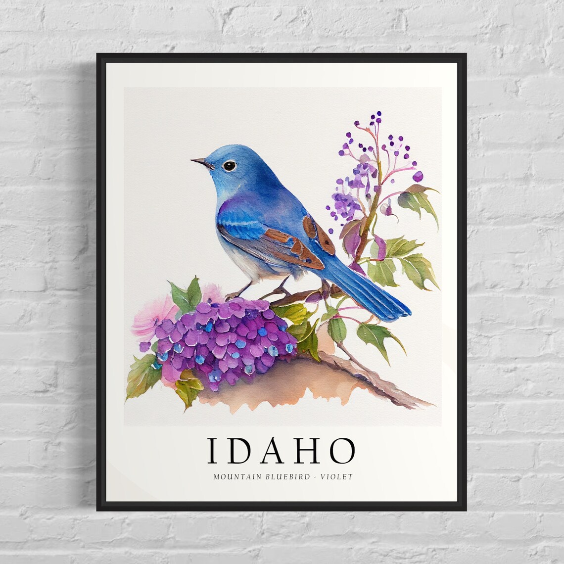 Idaho State Bird Art Print, State Flower Wall Art