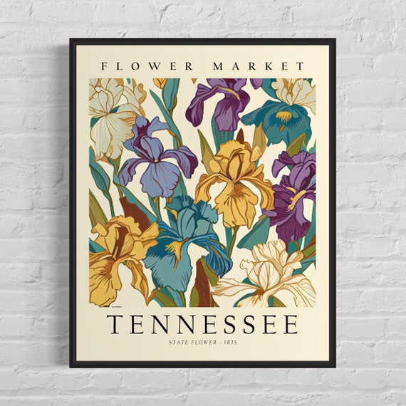 Tennessee State Flower Iris Botanical Art Print