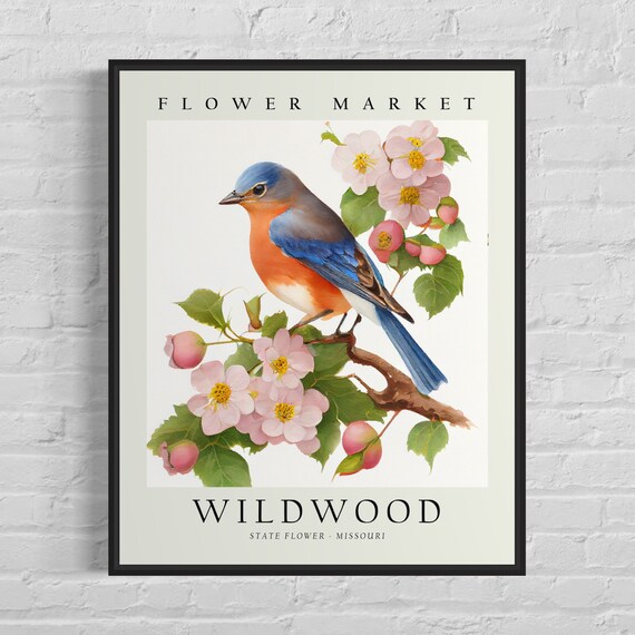 Wildwood Missouri Bluebird Blossom Flower Market Vintage Art Poster