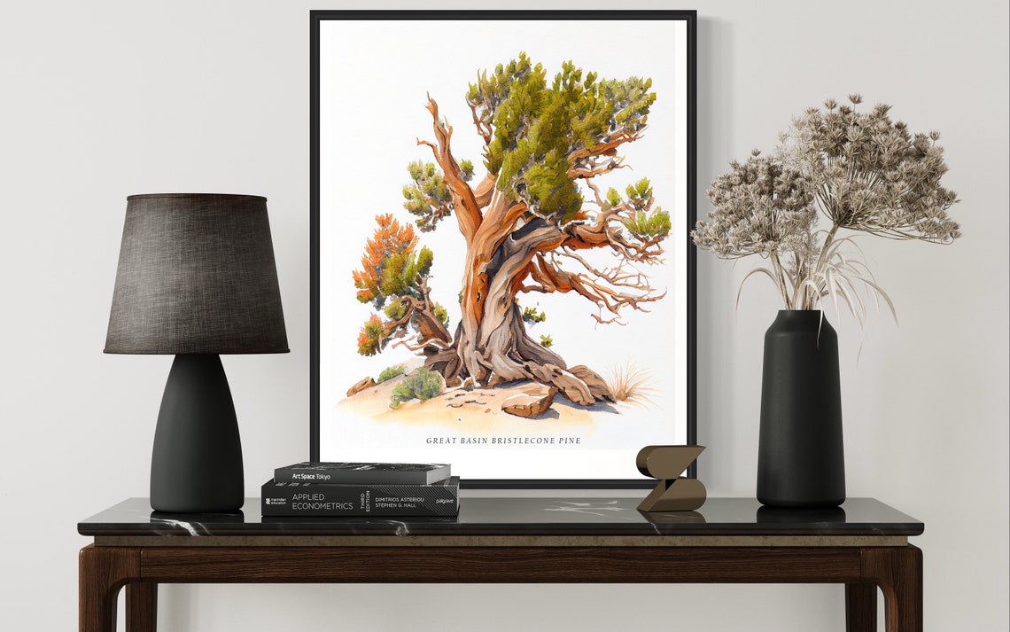 Great Basin Bristlecone Pine Tree Art Print Great Basin Bristlecone Pine Tree Wall Art Poster - Image 3