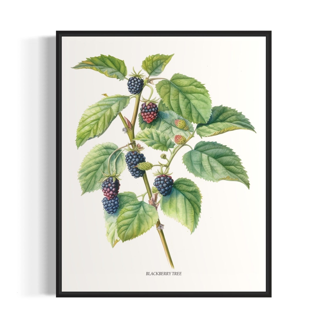 Blackberry Tree Art Print Blackberry Tree Wall Art Poster