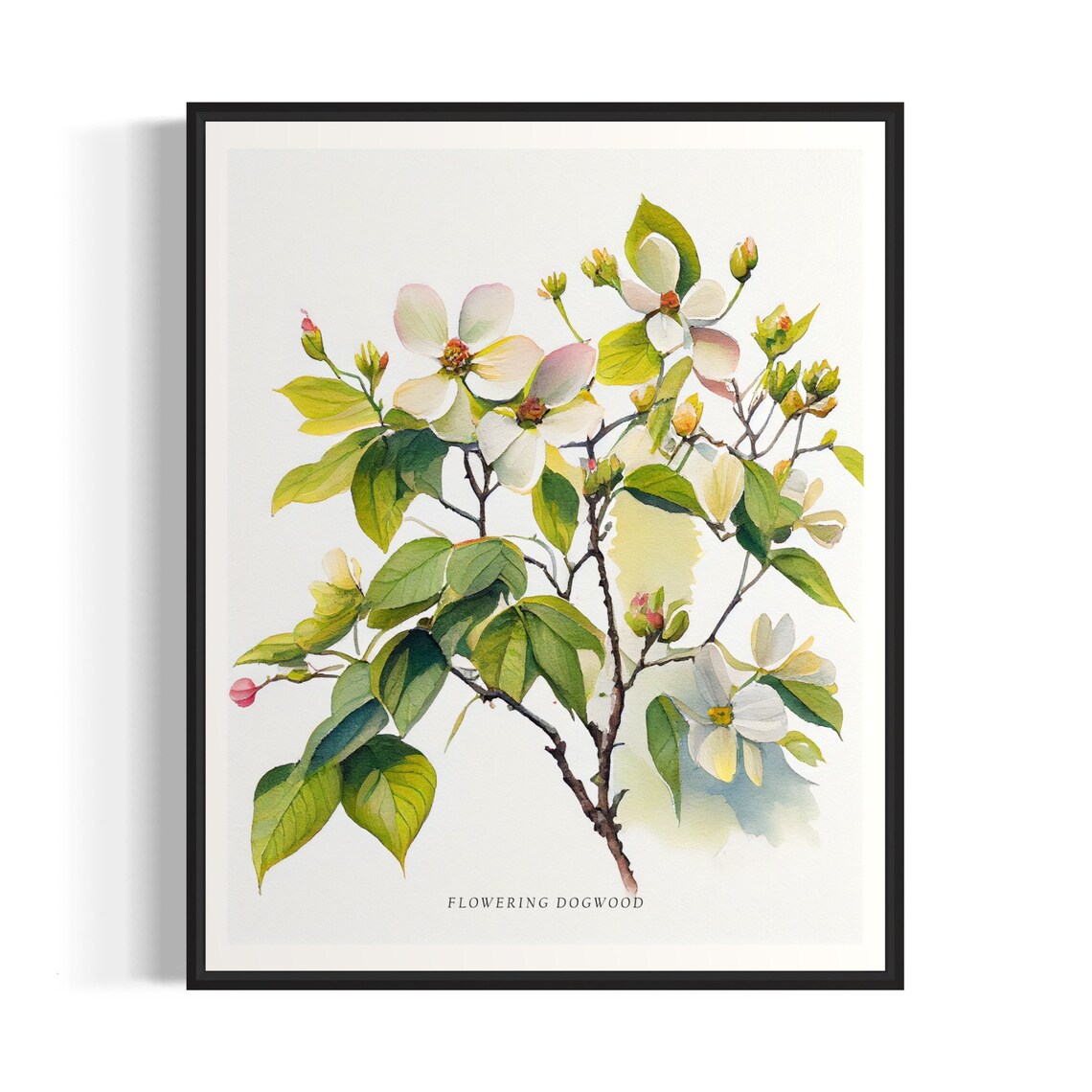 Flowering Dogwood Tree Art Print, Nature Wall Art